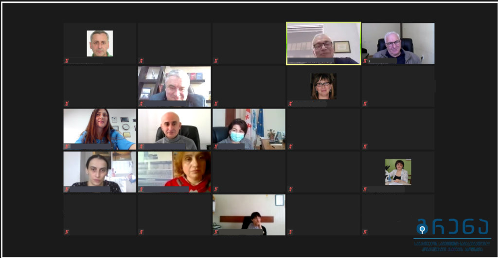 Screenshot of participants in online meeting.